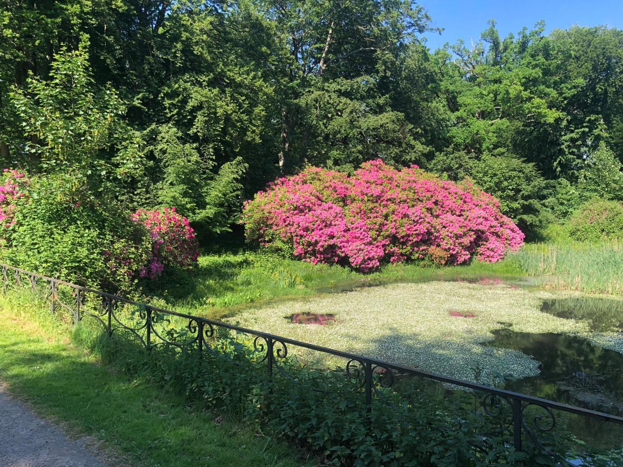 Vingardens Bed & Breakfast Хельсингборг Экстерьер фото
